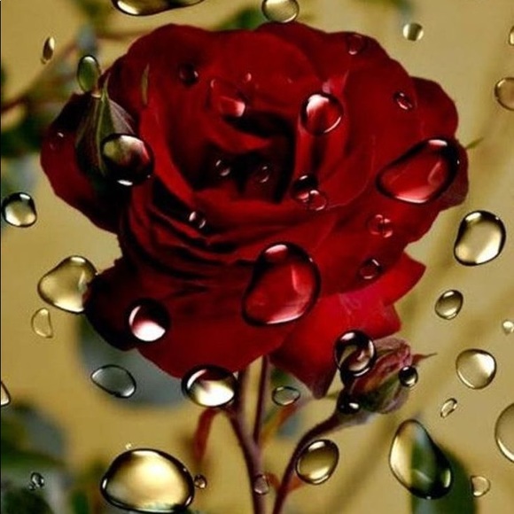 Meet your Posher, MA Banks - Picture 12 of 12